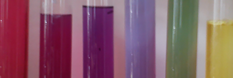 Chemie und Physik in der Klassenlehrerzeit